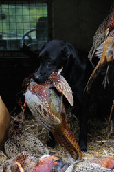 Similar image 8103407