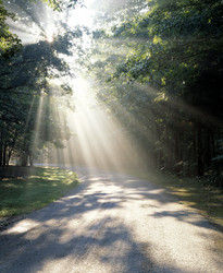 Similar image 8103409