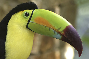 Similar image 8103412