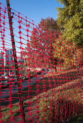 Similar image 8103433