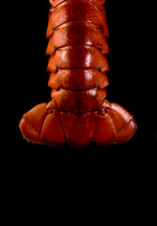 Similar image 8103441