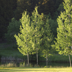 Similar image 8103442