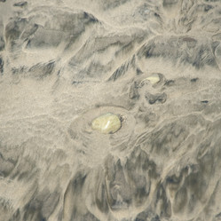 Similar image 8103450