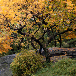 Similar image 8103462