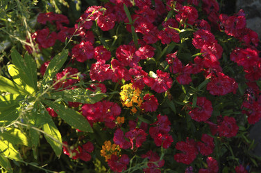 Similar image 8103472