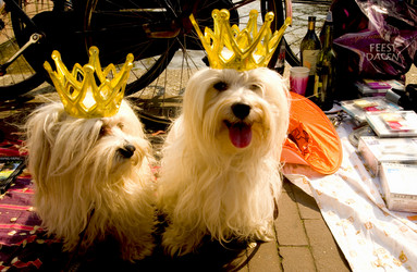 Similar image 8103482