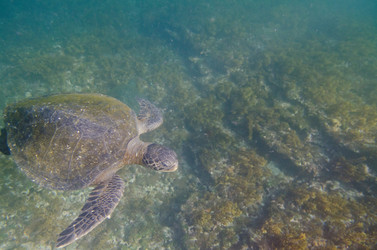 Similar image 8103484