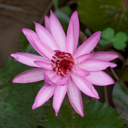 Similar image 8103490