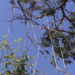 Similar image 8103500