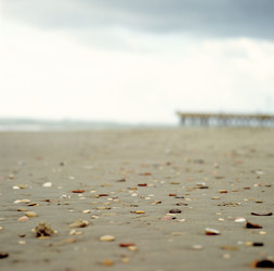 Similar image 8103502