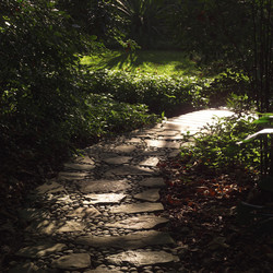 Similar image 8103505