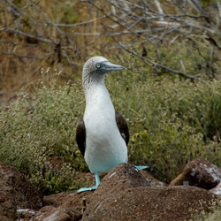 Similar image 8103507