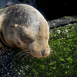 Similar image 8103532