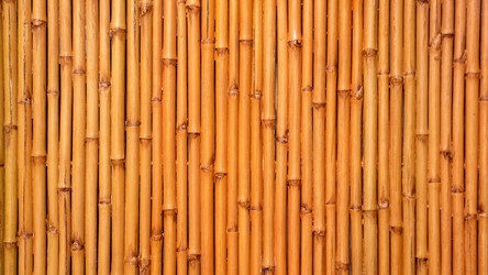 Similar image 8103536