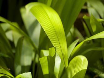 Similar image 8103537