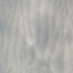 Similar image 8103538