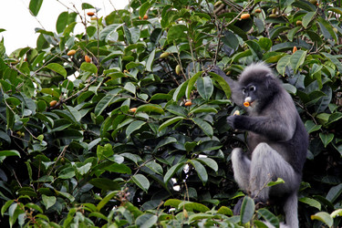 Similar image 8103540