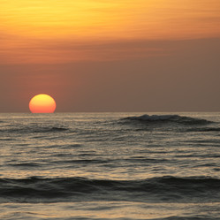 Similar image 8103551