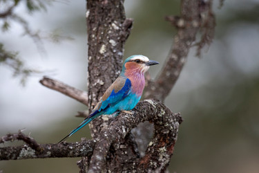 Similar image 8103555