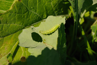 Similar image 8103559