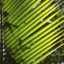 Similar image 8103569