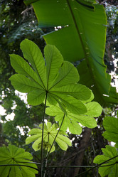 Similar image 8103575