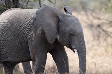 Similar image 8103579