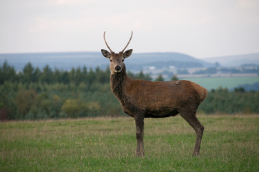 Similar image 8103582