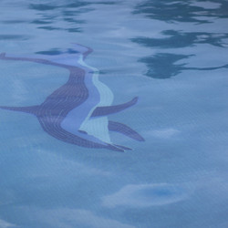 Similar image 8103592