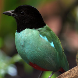 Similar image 8103593