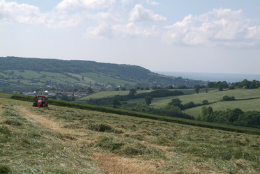 Similar image 8103596