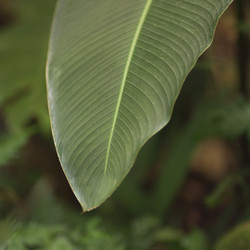 Similar image 8103606