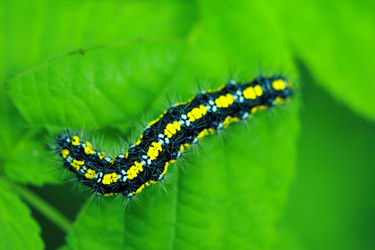 Similar image 8103607