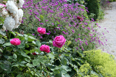 Similar image 8103611