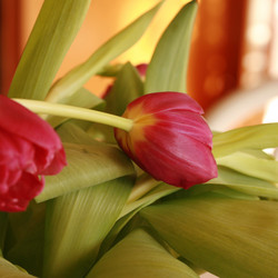 Similar image 8103638