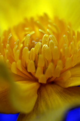 Similar image 8103643