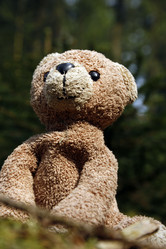 Similar image 8103647