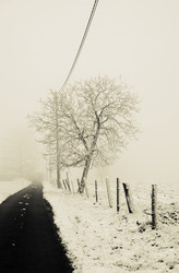 Similar image 8103649