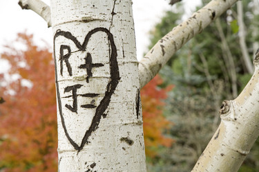 Similar image 8103654