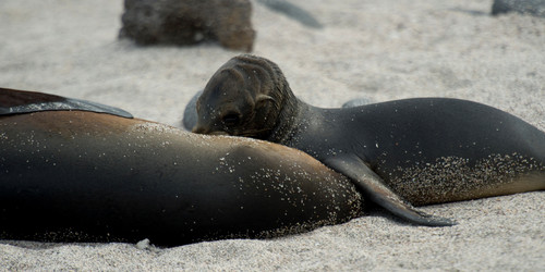 Similar image 8103655