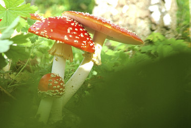 Similar image 8103657