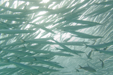 Similar image 8103658