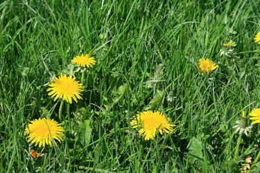 Similar image 8103659