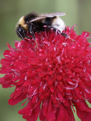 Similar image 8103663