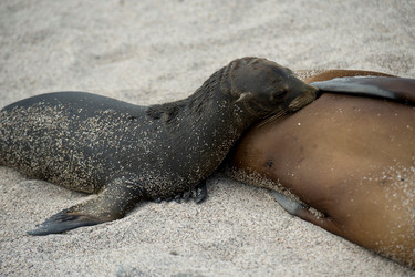 Similar image 8103683