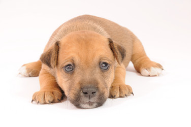 Similar image 8103687