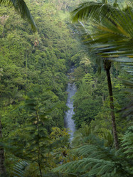 Similar image 8103689