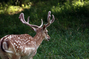 Similar image 8103692