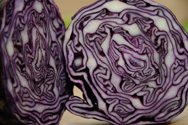 Similar image 8103705