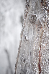 Similar image 8103713